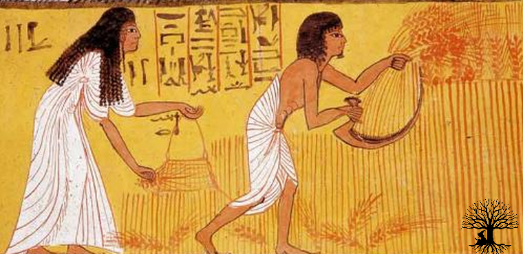 Pregnancy tests for ancient Egyptians
